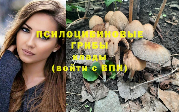 бошки Гусиноозёрск