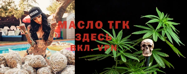 не бодяженный Гусев