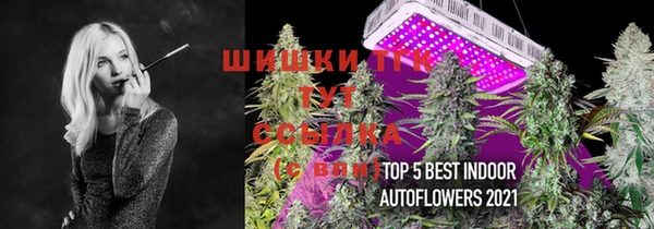 гидра Гусь-Хрустальный