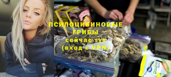 бошки Гусиноозёрск