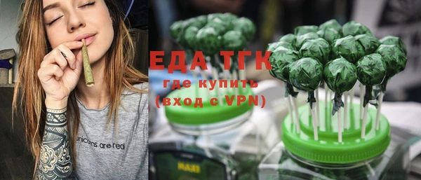 гидра Гусь-Хрустальный