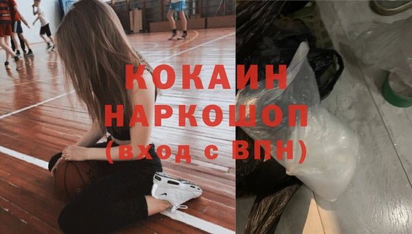 гидра Гусь-Хрустальный