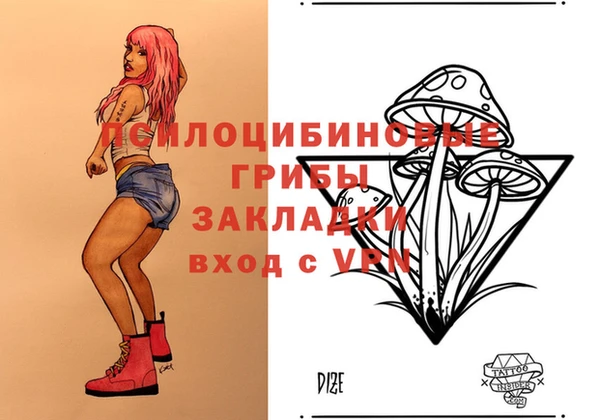 гидра Гусь-Хрустальный
