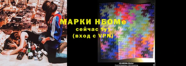 гидра Гусь-Хрустальный